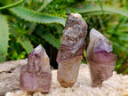 Natural Window Amethyst Crystals x 12 From Chiredzi, Zimbabwe - Toprock Gemstones and Minerals 