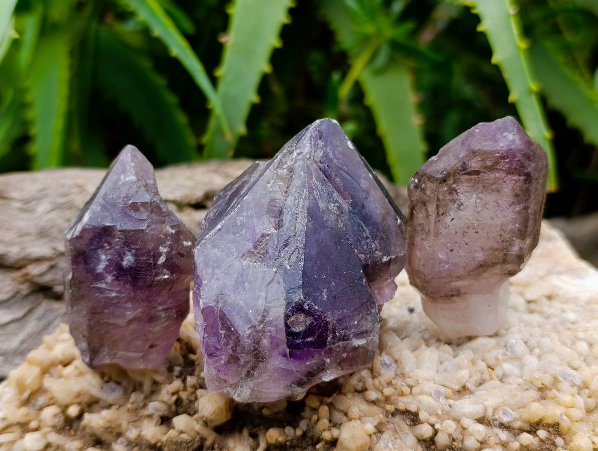 Natural Window Amethyst Crystals x 12 From Chiredzi, Zimbabwe - Toprock Gemstones and Minerals 