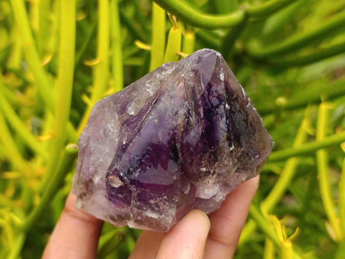 Natural Window Amethyst Crystals x 12 From Chiredzi, Zimbabwe - Toprock Gemstones and Minerals 
