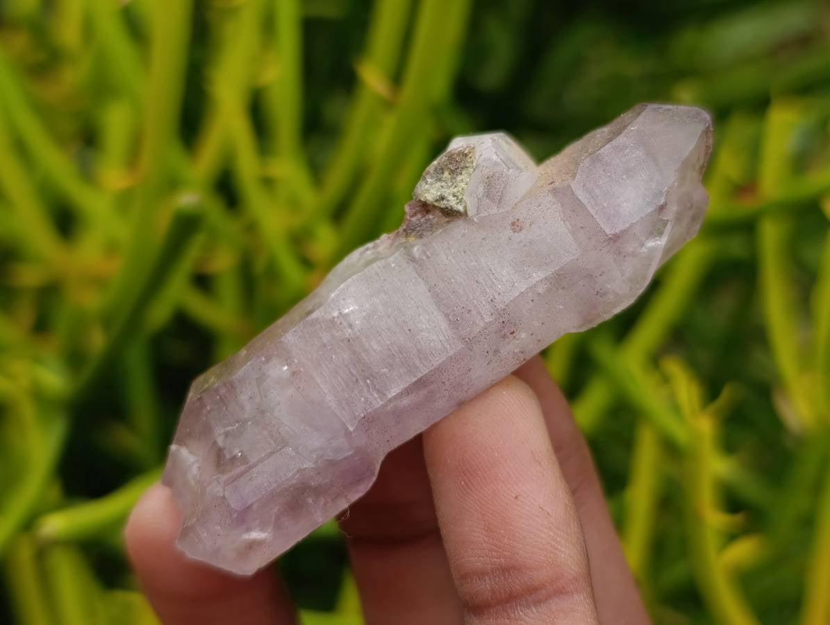 Natural Window Amethyst Crystals x 12 From Chiredzi, Zimbabwe - Toprock Gemstones and Minerals 
