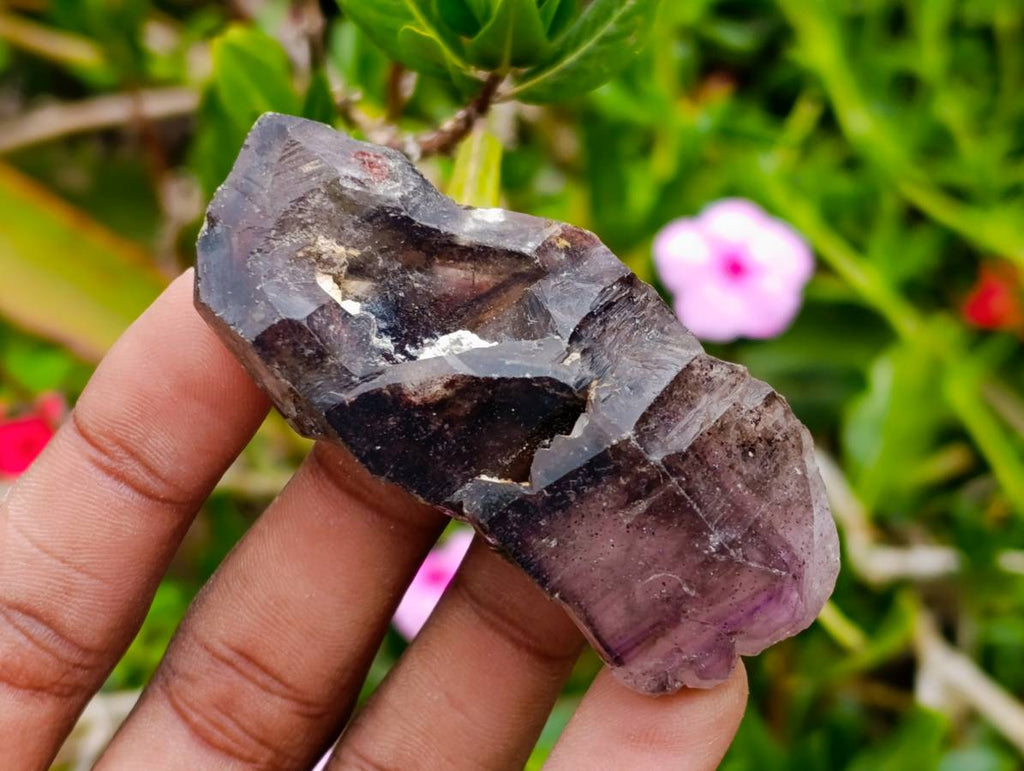 Natural Window Amethyst Crystals x 12 From Chiredzi, Zimbabwe - Toprock Gemstones and Minerals 