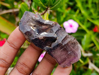 Natural Window Amethyst Crystals x 12 From Chiredzi, Zimbabwe