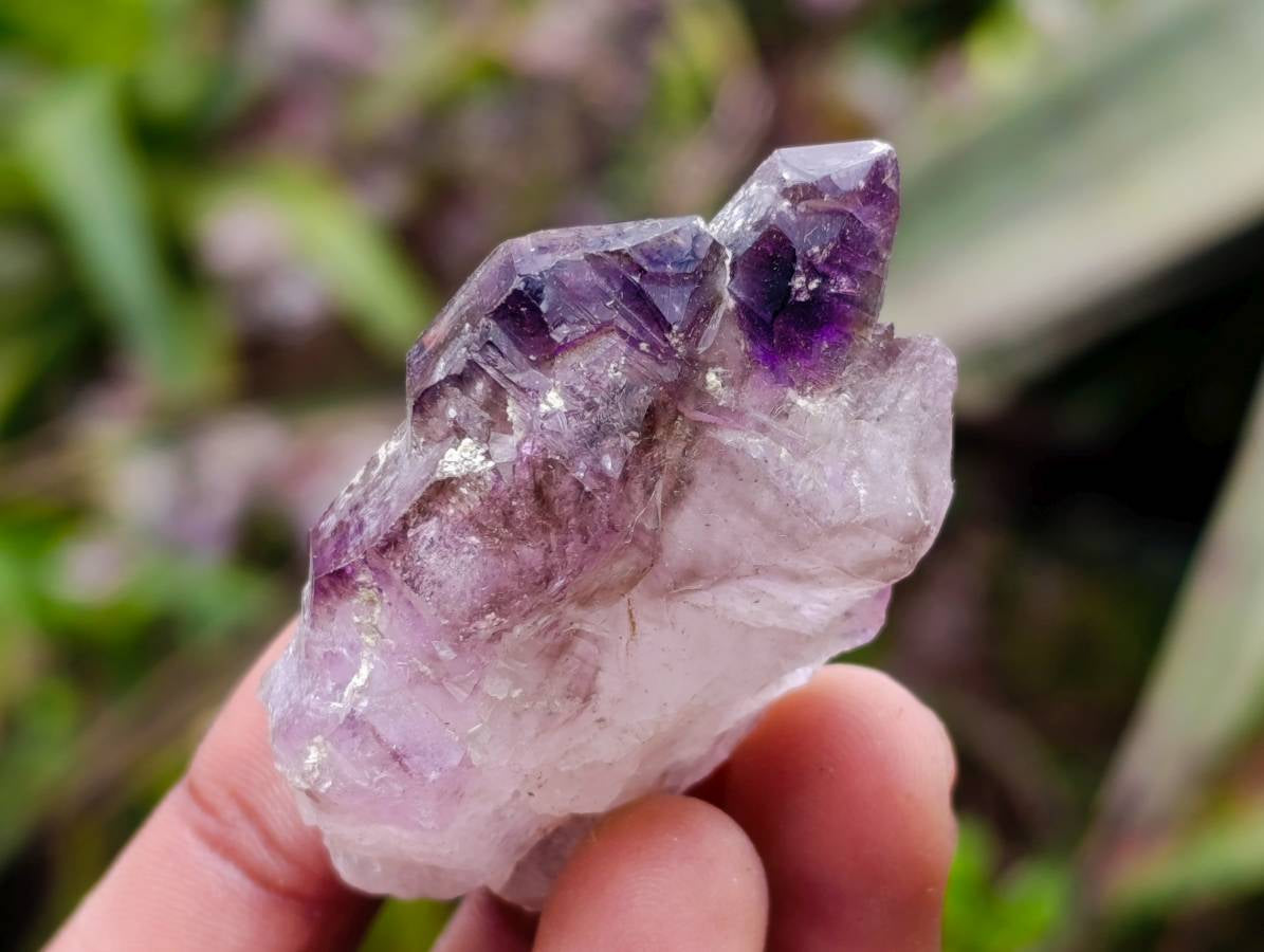 Natural Window Amethyst Crystals x 12 From Chiredzi, Zimbabwe - Toprock Gemstones and Minerals 