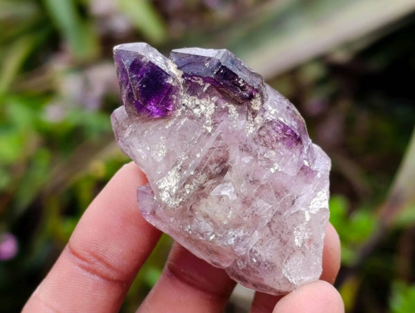 Natural Window Amethyst Crystals x 12 From Chiredzi, Zimbabwe