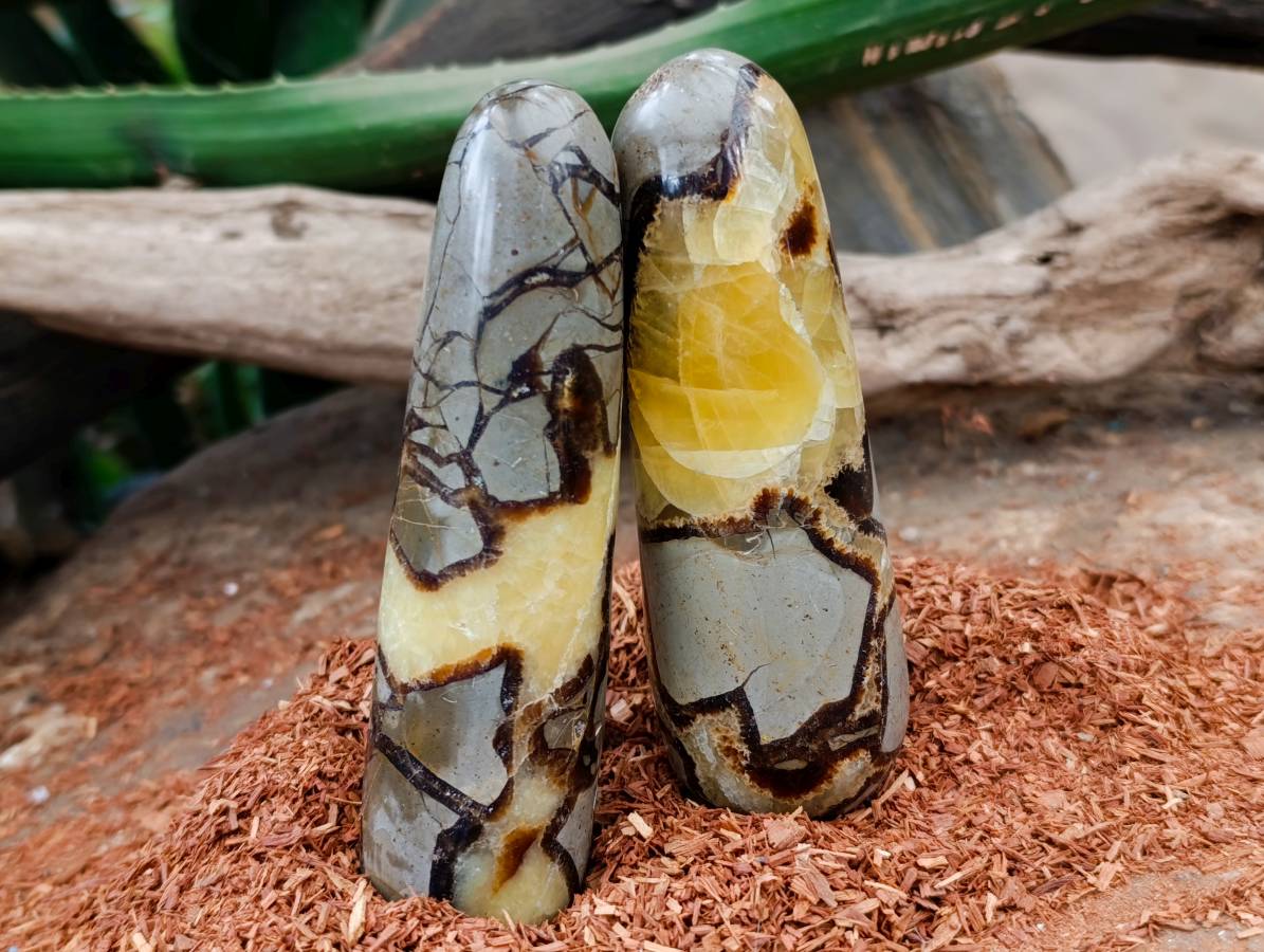 Polished Septerye Massage Wands x 6 From Mahajanga, Madagascar - Toprock Gemstones and Minerals 