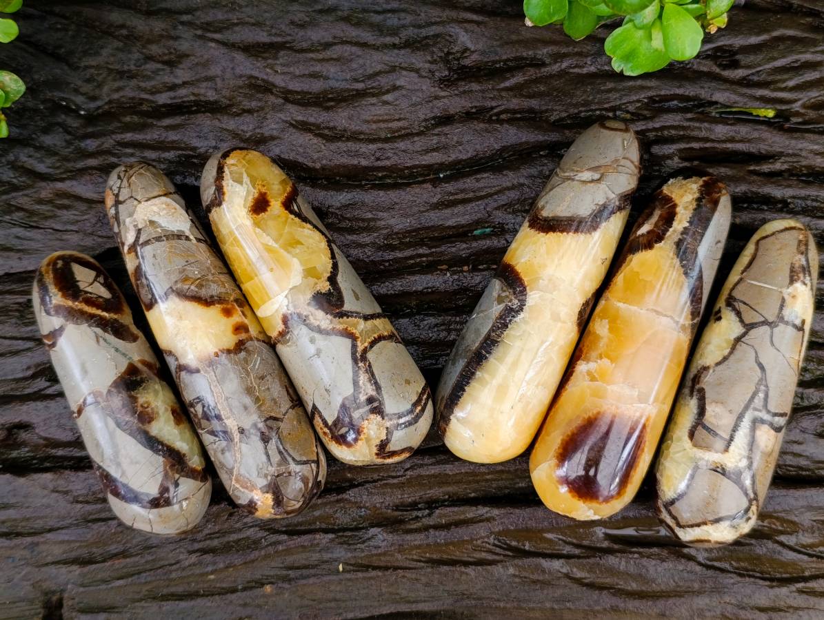 Polished Septerye Massage Wands x 6 From Mahajanga, Madagascar - Toprock Gemstones and Minerals 