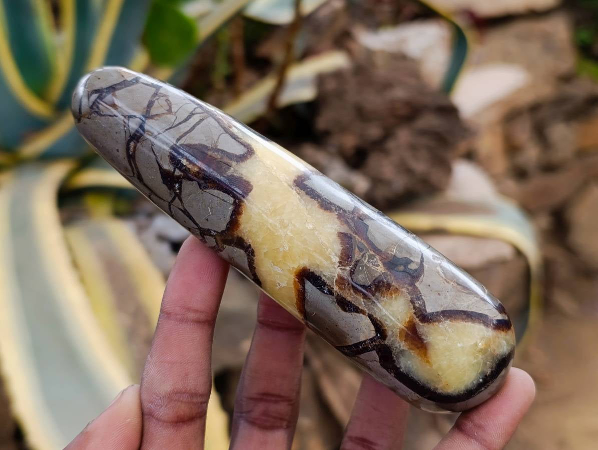 Polished Septerye Massage Wands x 6 From Mahajanga, Madagascar - Toprock Gemstones and Minerals 