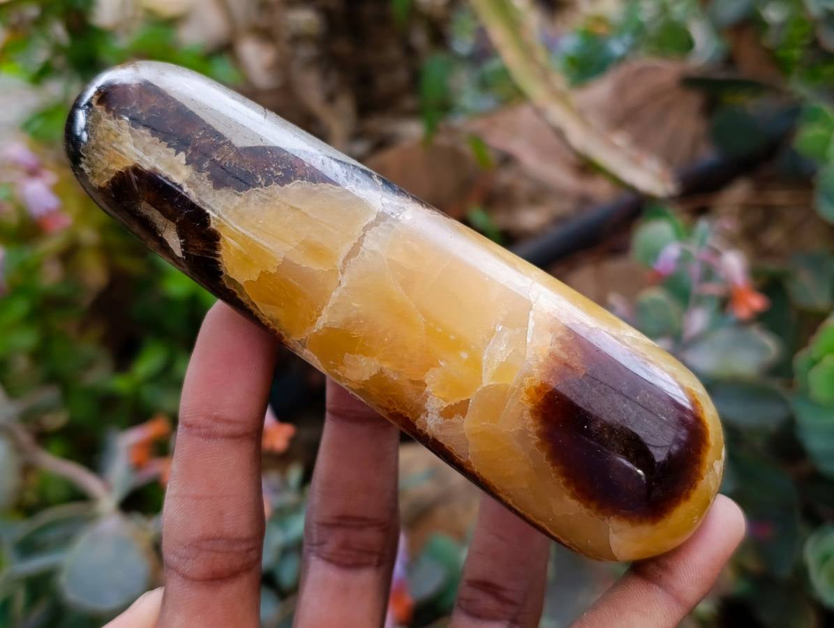 Polished Septerye Massage Wands x 6 From Mahajanga, Madagascar - Toprock Gemstones and Minerals 