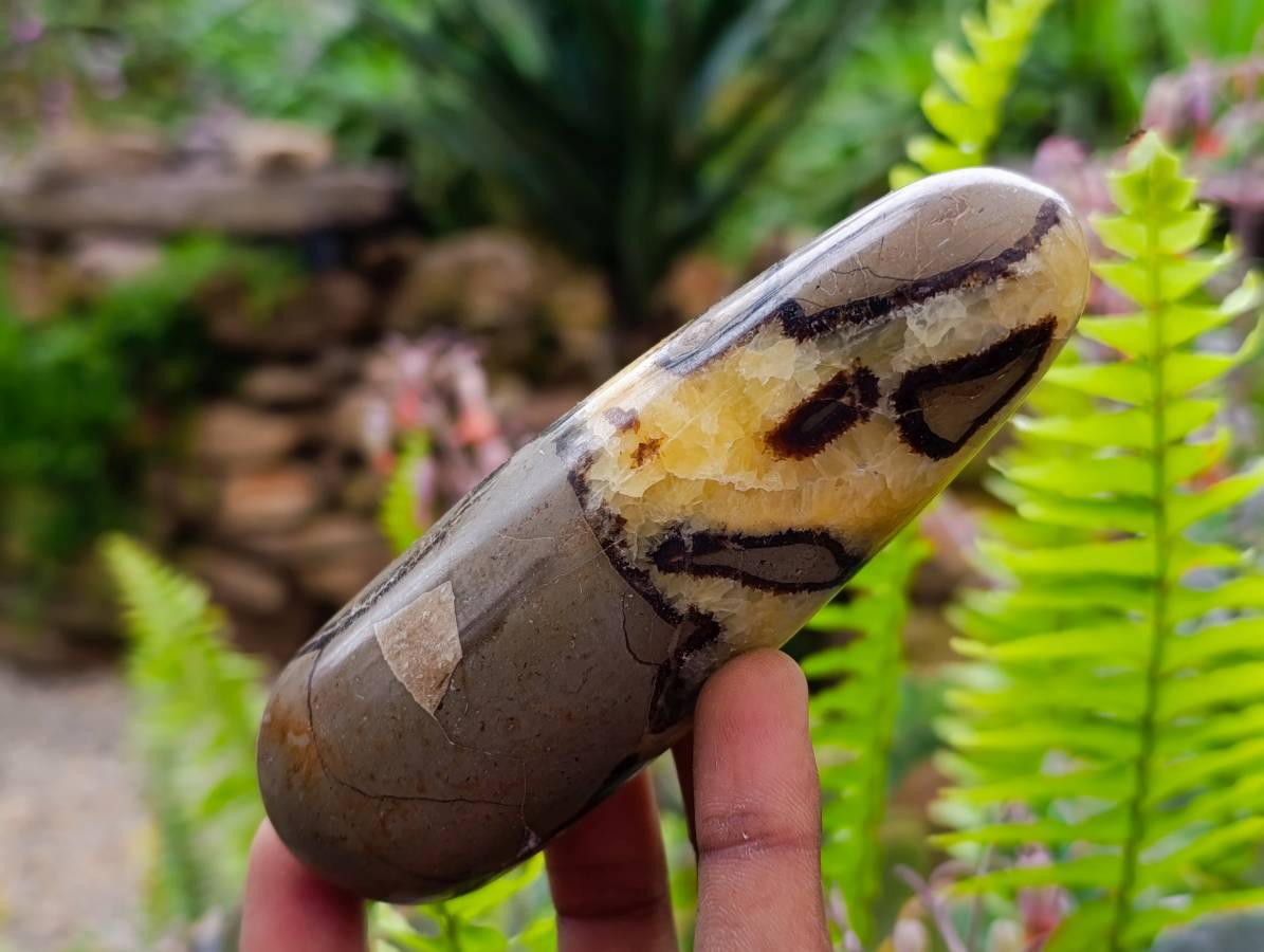 Polished Septerye Massage Wands x 6 From Mahajanga, Madagascar - Toprock Gemstones and Minerals 