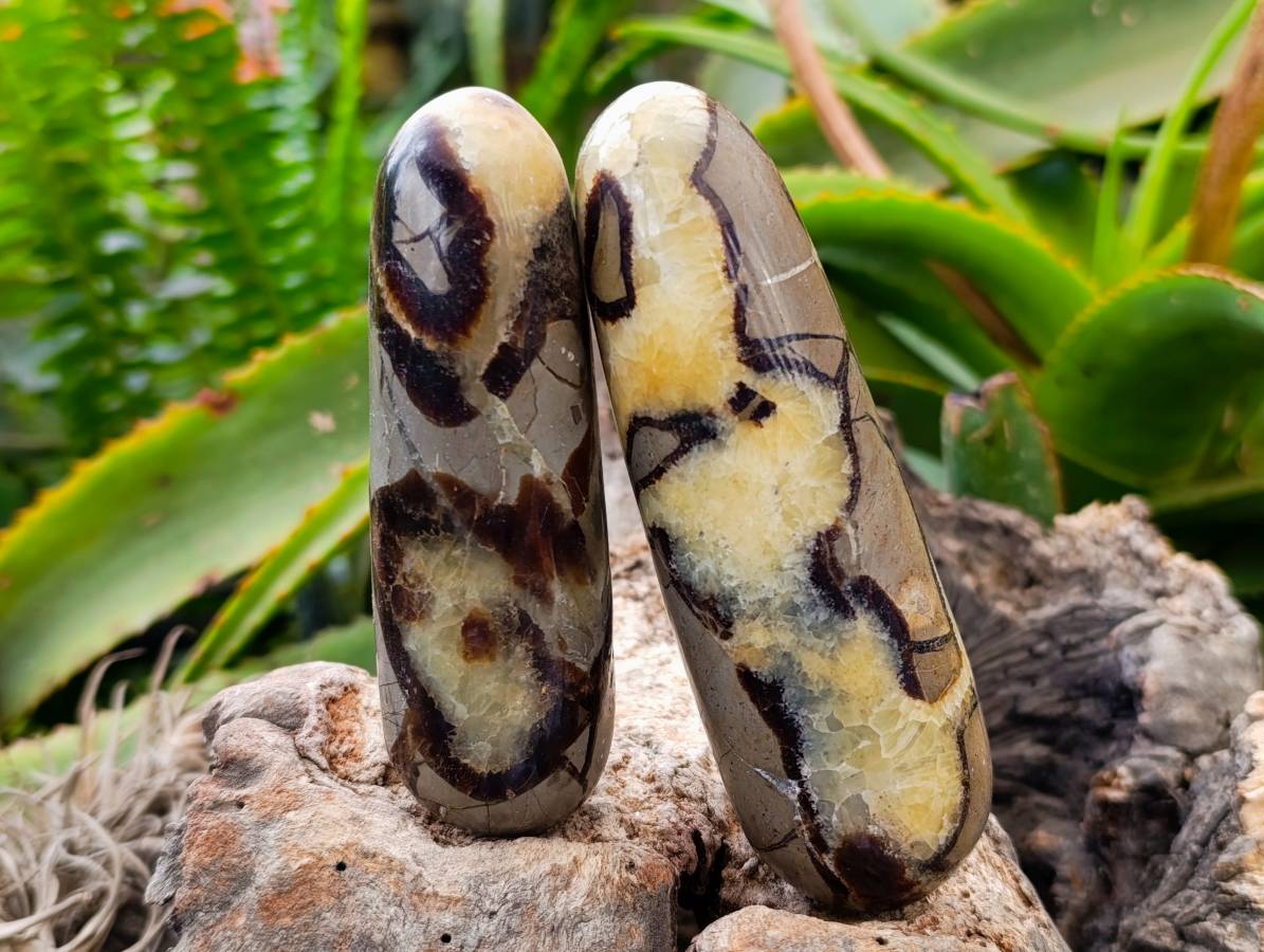 Polished Septerye Massage Wands x 6 From Mahajanga, Madagascar - Toprock Gemstones and Minerals 