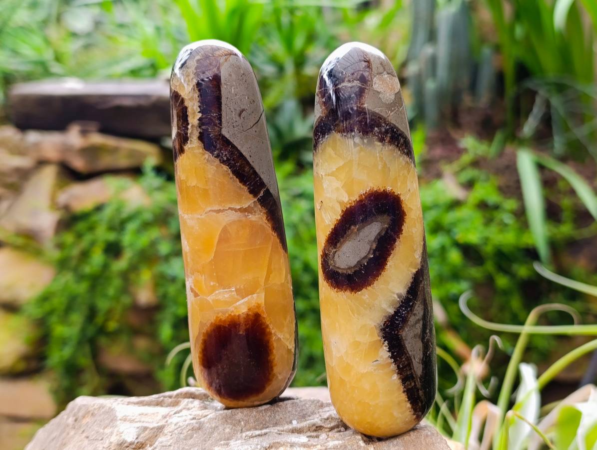 Polished Septerye Massage Wands x 6 From Mahajanga, Madagascar - Toprock Gemstones and Minerals 