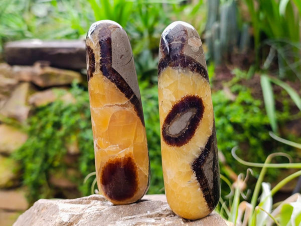 Polished Septerye Massage Wands x 6 From Mahajanga, Madagascar