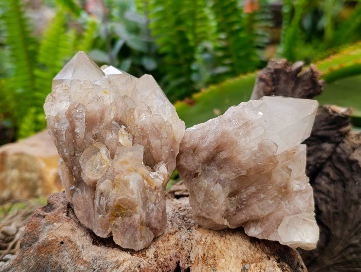 Natural Smokey Phantom Quartz Clusters x 6 From Luena, Congo - Toprock Gemstones and Minerals 