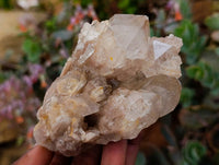 Natural Smokey Phantom Quartz Clusters x 6 From Luena, Congo