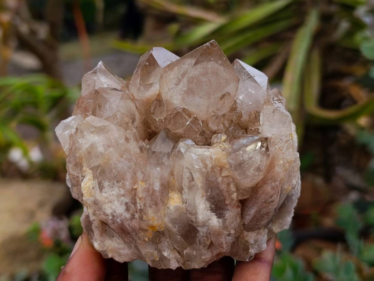 Natural Smokey Phantom Quartz Clusters x 6 From Luena, Congo - Toprock Gemstones and Minerals 