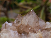 Natural Smokey Phantom Quartz Clusters x 6 From Luena, Congo