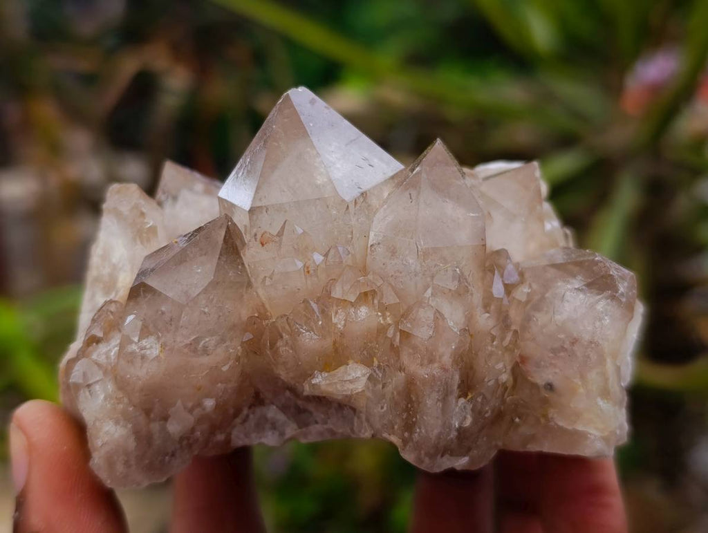 Natural Smokey Phantom Quartz Clusters x 6 From Luena, Congo - Toprock Gemstones and Minerals 