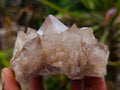 Natural Smokey Phantom Quartz Clusters x 6 From Luena, Congo - Toprock Gemstones and Minerals 