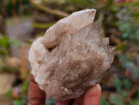 Natural Smokey Phantom Quartz Clusters x 6 From Luena, Congo