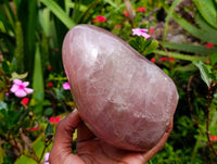 Polished Rose Quartz Standing Free Form x 1 From Madagascar