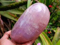 Polished Rose Quartz Standing Free Form x 1 From Madagascar