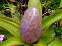 Polished Rose Quartz Standing Free Form x 1 From Madagascar