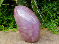 Polished Rose Quartz Standing Free Form x 1 From Madagascar