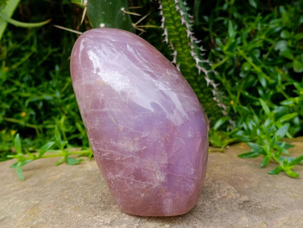 Polished Rose Quartz Standing Free Form x 1 From Madagascar