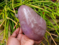 Polished Rose Quartz Standing Free Form x 1 From Madagascar