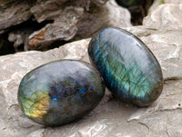 Polished Labradorite Galets x 20 From Tulear, Madagascar