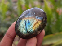 Polished Labradorite Galets x 20 From Tulear, Madagascar