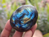 Polished Labradorite Galets x 20 From Tulear, Madagascar