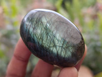 Polished Labradorite Galets x 20 From Tulear, Madagascar