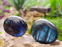 Polished Labradorite Galets x 20 From Tulear, Madagascar