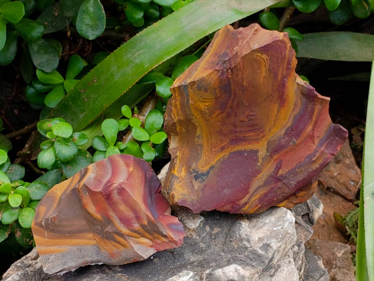 Natural Nguni Jasper Cobbed Specimens x 12 From Northern Cape, South Africa - Toprock Gemstones and Minerals 