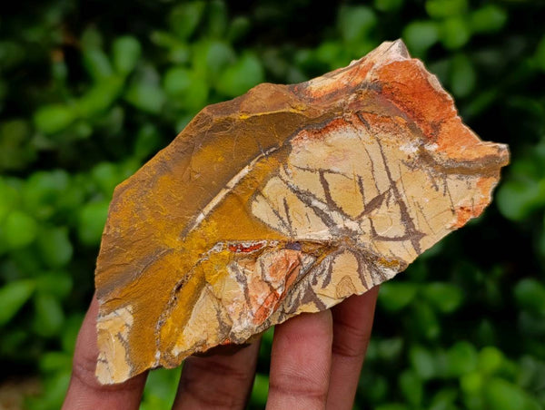 Natural Nguni Jasper Cobbed Specimens x 12 From Northern Cape, South Africa