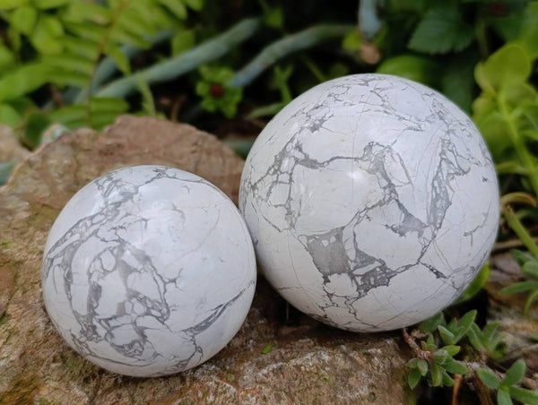 Polished Lightning Strike Howlite Spheres x 3 - From Zimbabwe