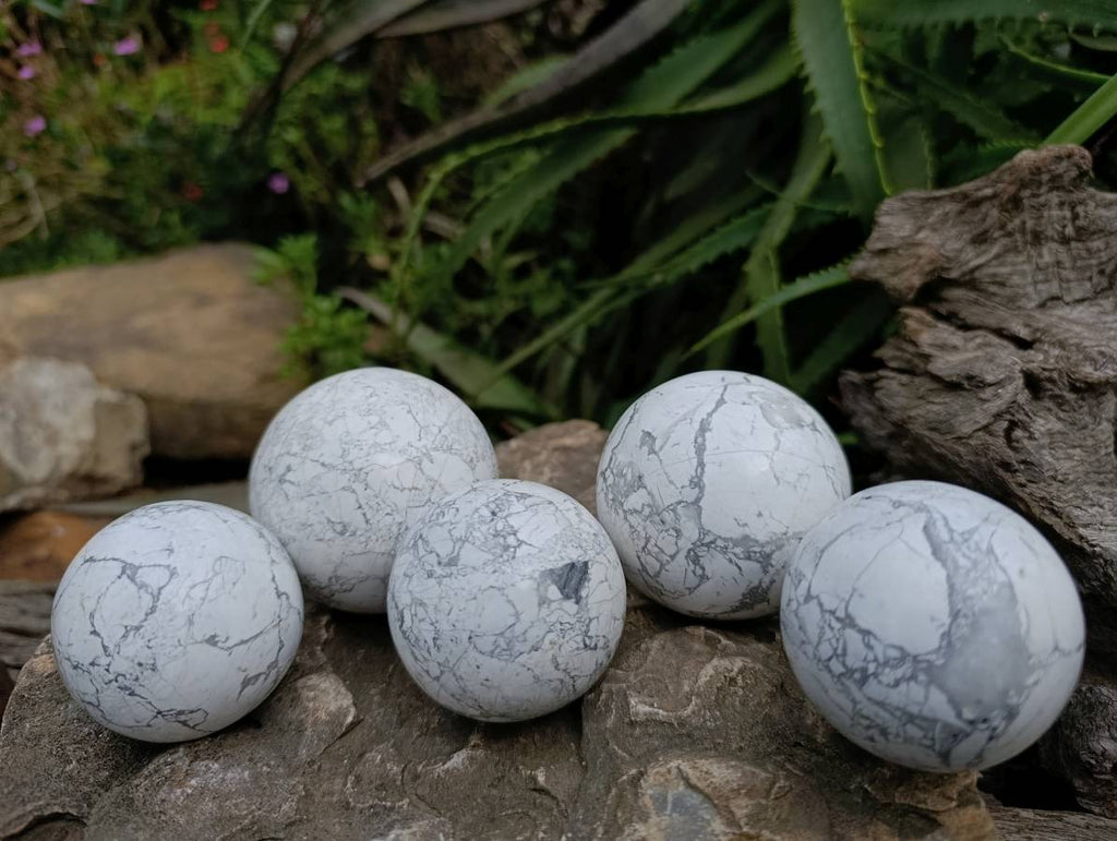Polished Lightning Strike Howlite Spheres x 3 - From Zimbabwe - Toprock Gemstones and Minerals 