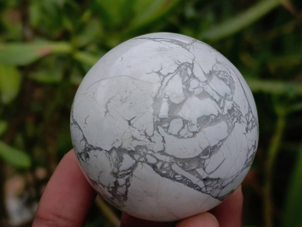 Polished Lightning Strike Howlite Spheres x 3 - From Zimbabwe - Toprock Gemstones and Minerals 