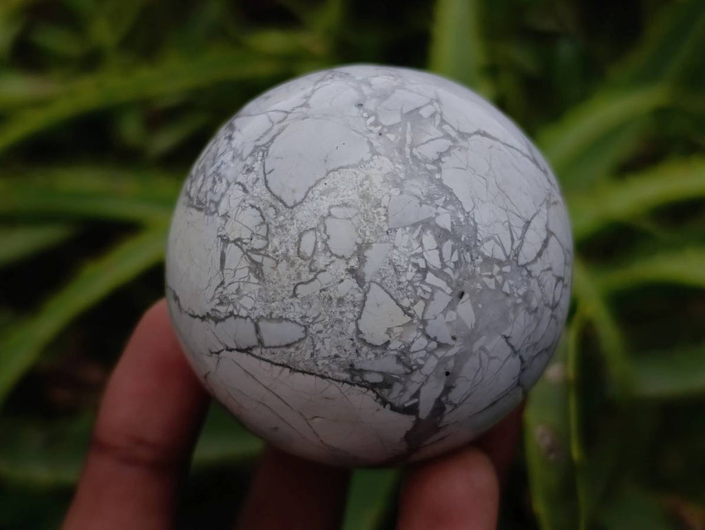 Polished Lightning Strike Howlite Spheres x 3 - From Zimbabwe - Toprock Gemstones and Minerals 