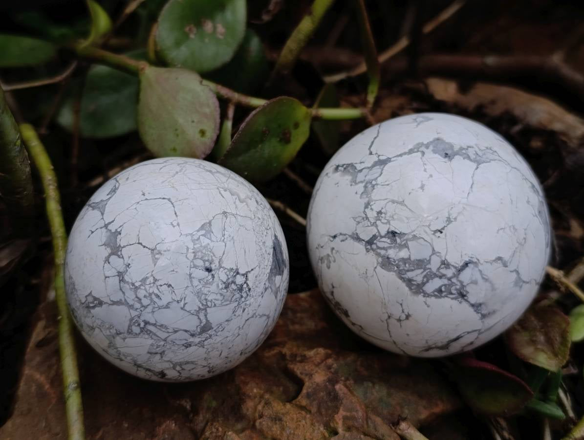 Polished Lightning Strike Howlite Spheres x 3 - From Zimbabwe - Toprock Gemstones and Minerals 