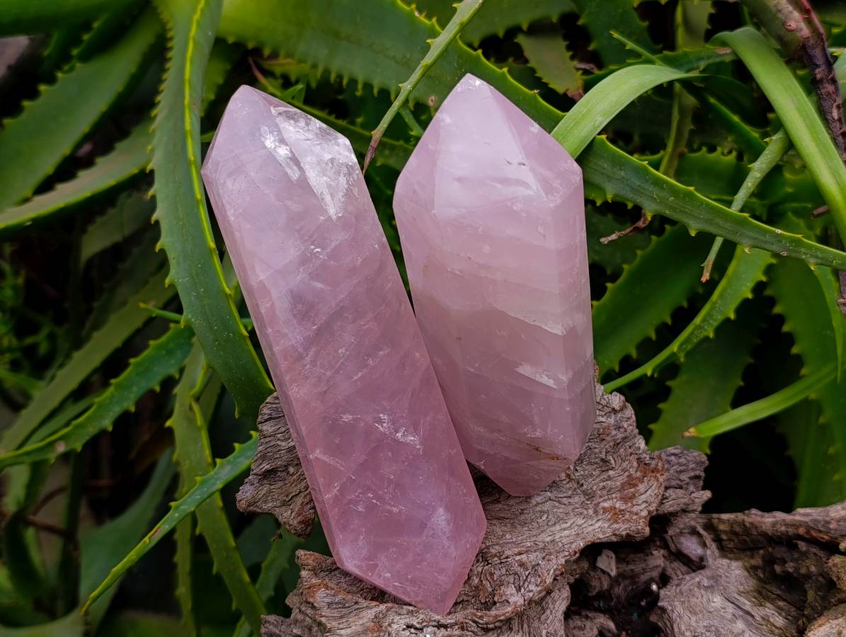 Polished Double Terminated Rose Quartz Crystals x 6 From Madagascar - Toprock Gemstones and Minerals 