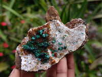 Natural Ball Malachite and Drusy Quartz On Dolomite Matrix Specimens x 6 From Mindingi Mine, Kambove, Congo