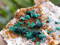 Natural Ball Malachite and Drusy Quartz On Dolomite Matrix Specimens x 6 From Mindingi Mine, Kambove, Congo