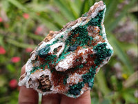Natural Ball Malachite and Drusy Quartz On Dolomite Matrix Specimens x 6 From Mindingi Mine, Kambove, Congo