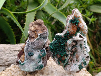 Natural Ball Malachite and Drusy Quartz On Dolomite Matrix Specimens x 6 From Mindingi Mine, Kambove, Congo