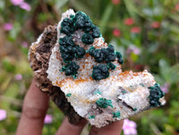 Natural Ball Malachite and Drusy Quartz On Dolomite Matrix Specimens x 6 From Mindingi Mine, Kambove, Congo