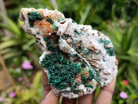 Natural Ball Malachite and Drusy Quartz On Dolomite Matrix Specimens x 6 From Mindingi Mine, Kambove, Congo