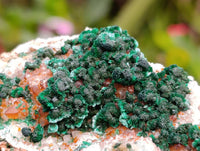 Natural Ball Malachite and Drusy Quartz On Dolomite Matrix Specimens x 6 From Mindingi Mine, Kambove, Congo