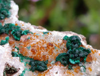 Natural Ball Malachite and Drusy Quartz On Dolomite Matrix Specimens x 6 From Mindingi Mine, Kambove, Congo